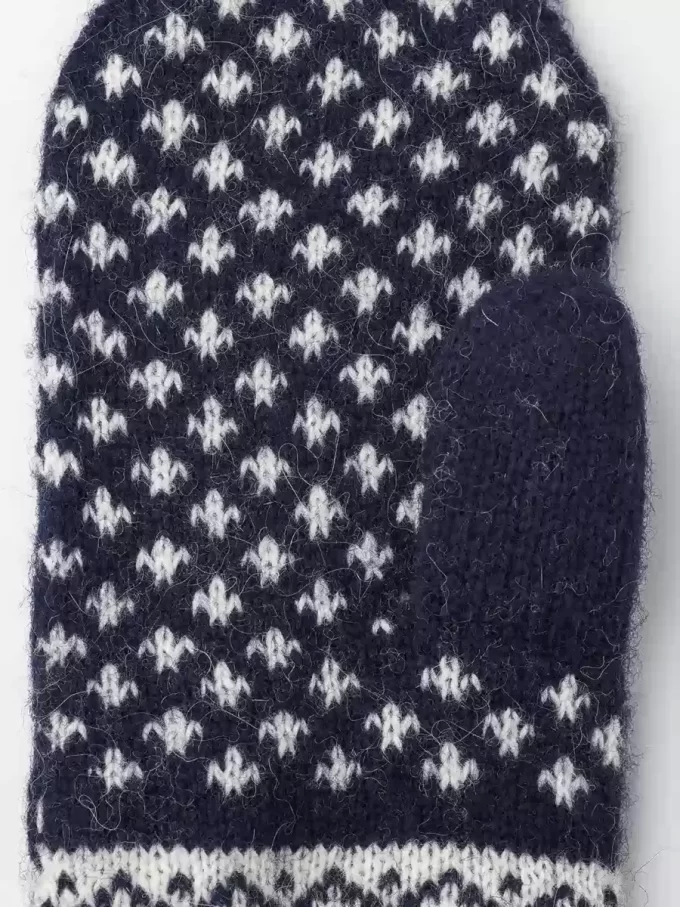 Isvik Mitt
